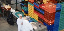 2010. aasta veebruaris avas ettevõte uue juustupakendamise liini.      Foto: TOOMAS REINPÕLD